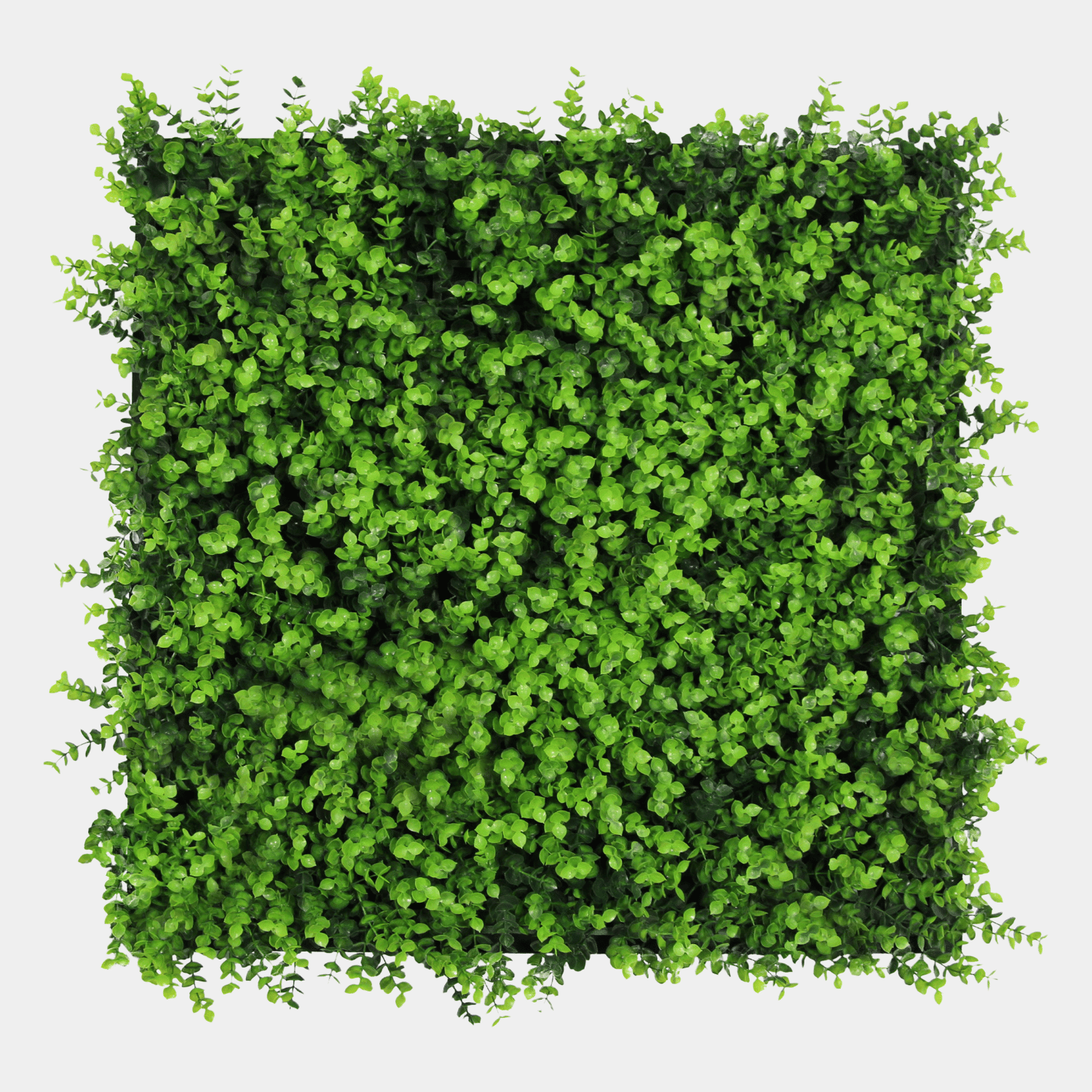 Panneau Plante Acoustique 52x52cm - Buis Vert Mixte