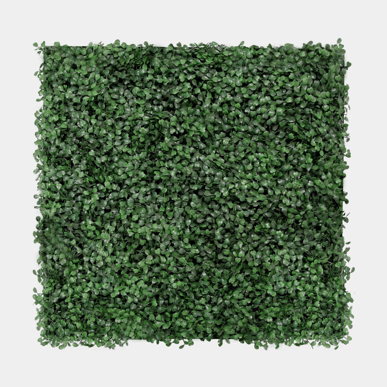 Akoestisch Plantpaneel 52x52cm - Dark Green Buxus