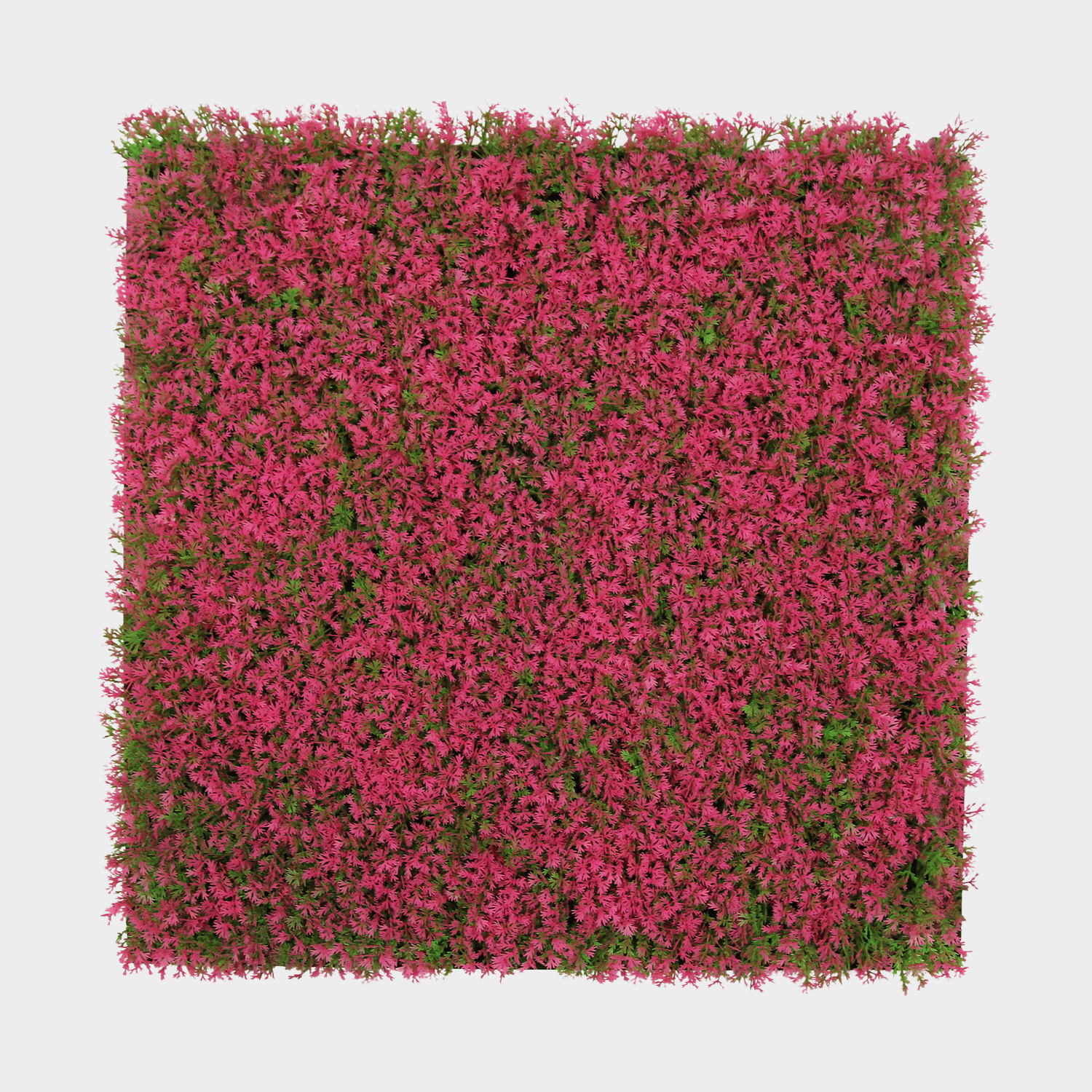 Panneau Plante Acoustique 52x52cm - Herbe Rose