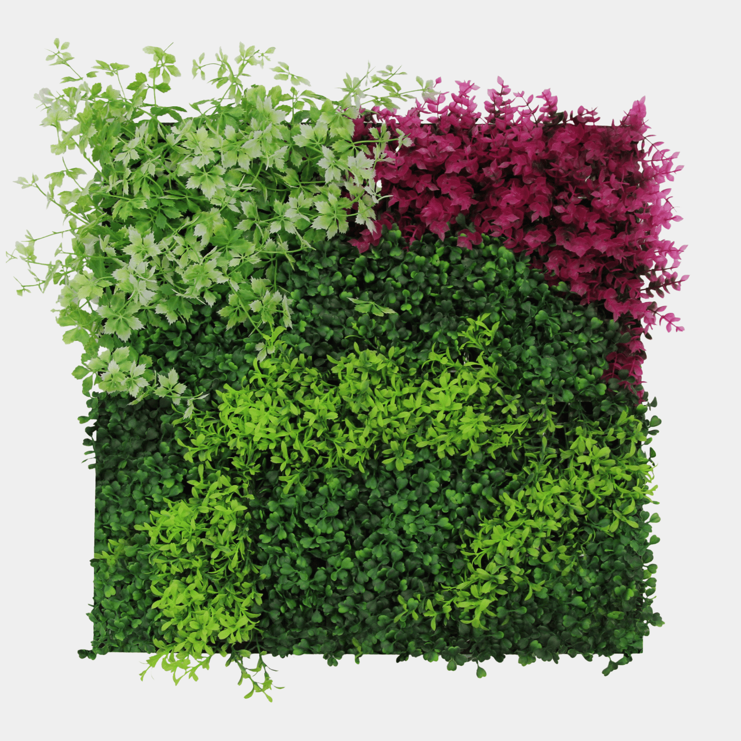 Panneau Plante Acoustique 52x52cm - Flore Mixte Rose